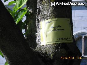 [P04] Baile Herculane-Specii de arbori in parcul din fata fostului casino » foto by Tucu2009
 - 
<span class="allrVoted glyphicon glyphicon-heart hidden" id="av516872"></span>
<a class="m-l-10 hidden" id="sv516872" onclick="voting_Foto_DelVot(,516872,3645)" role="button">șterge vot <span class="glyphicon glyphicon-remove"></span></a>
<a id="v9516872" class=" c-red"  onclick="voting_Foto_SetVot(516872)" role="button"><span class="glyphicon glyphicon-heart-empty"></span> <b>LIKE</b> = Votează poza</a> <img class="hidden"  id="f516872W9" src="/imagini/loader.gif" border="0" /><span class="AjErrMes hidden" id="e516872ErM"></span>