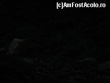 [P17] Pădurea din jurul oraşului este împodobită cu licurici în a doua parte a lunii iunie » foto by baby eyes
 - 
<span class="allrVoted glyphicon glyphicon-heart hidden" id="av419056"></span>
<a class="m-l-10 hidden" id="sv419056" onclick="voting_Foto_DelVot(,419056,3645)" role="button">șterge vot <span class="glyphicon glyphicon-remove"></span></a>
<a id="v9419056" class=" c-red"  onclick="voting_Foto_SetVot(419056)" role="button"><span class="glyphicon glyphicon-heart-empty"></span> <b>LIKE</b> = Votează poza</a> <img class="hidden"  id="f419056W9" src="/imagini/loader.gif" border="0" /><span class="AjErrMes hidden" id="e419056ErM"></span>