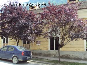 [P27] Baia Apollo.  » foto by Carmen Ion
 - 
<span class="allrVoted glyphicon glyphicon-heart hidden" id="av767562"></span>
<a class="m-l-10 hidden" id="sv767562" onclick="voting_Foto_DelVot(,767562,3645)" role="button">șterge vot <span class="glyphicon glyphicon-remove"></span></a>
<a id="v9767562" class=" c-red"  onclick="voting_Foto_SetVot(767562)" role="button"><span class="glyphicon glyphicon-heart-empty"></span> <b>LIKE</b> = Votează poza</a> <img class="hidden"  id="f767562W9" src="/imagini/loader.gif" border="0" /><span class="AjErrMes hidden" id="e767562ErM"></span>