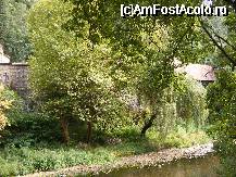 [P11]  -- <small>// FĂRĂ DESCRIERE</small> » foto by ioanael2007
 - 
<span class="allrVoted glyphicon glyphicon-heart hidden" id="av23719"></span>
<a class="m-l-10 hidden" id="sv23719" onclick="voting_Foto_DelVot(,23719,3645)" role="button">șterge vot <span class="glyphicon glyphicon-remove"></span></a>
<a id="v923719" class=" c-red"  onclick="voting_Foto_SetVot(23719)" role="button"><span class="glyphicon glyphicon-heart-empty"></span> <b>LIKE</b> = Votează poza</a> <img class="hidden"  id="f23719W9" src="/imagini/loader.gif" border="0" /><span class="AjErrMes hidden" id="e23719ErM"></span>