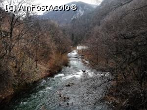 [P01] Cerna văzută de pe Podul Roșu » foto by Mika
 - 
<span class="allrVoted glyphicon glyphicon-heart hidden" id="av1062174"></span>
<a class="m-l-10 hidden" id="sv1062174" onclick="voting_Foto_DelVot(,1062174,3645)" role="button">șterge vot <span class="glyphicon glyphicon-remove"></span></a>
<a id="v91062174" class=" c-red"  onclick="voting_Foto_SetVot(1062174)" role="button"><span class="glyphicon glyphicon-heart-empty"></span> <b>LIKE</b> = Votează poza</a> <img class="hidden"  id="f1062174W9" src="/imagini/loader.gif" border="0" /><span class="AjErrMes hidden" id="e1062174ErM"></span>