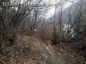[P18] Spre Stânca lui Sisi » foto by Mika
 - 
<span class="allrVoted glyphicon glyphicon-heart hidden" id="av1062191"></span>
<a class="m-l-10 hidden" id="sv1062191" onclick="voting_Foto_DelVot(,1062191,3645)" role="button">șterge vot <span class="glyphicon glyphicon-remove"></span></a>
<a id="v91062191" class=" c-red"  onclick="voting_Foto_SetVot(1062191)" role="button"><span class="glyphicon glyphicon-heart-empty"></span> <b>LIKE</b> = Votează poza</a> <img class="hidden"  id="f1062191W9" src="/imagini/loader.gif" border="0" /><span class="AjErrMes hidden" id="e1062191ErM"></span>