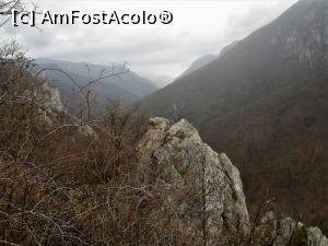 [P19] Pe Stanca lui Sisi » foto by Mika
 - 
<span class="allrVoted glyphicon glyphicon-heart hidden" id="av1062192"></span>
<a class="m-l-10 hidden" id="sv1062192" onclick="voting_Foto_DelVot(,1062192,3645)" role="button">șterge vot <span class="glyphicon glyphicon-remove"></span></a>
<a id="v91062192" class=" c-red"  onclick="voting_Foto_SetVot(1062192)" role="button"><span class="glyphicon glyphicon-heart-empty"></span> <b>LIKE</b> = Votează poza</a> <img class="hidden"  id="f1062192W9" src="/imagini/loader.gif" border="0" /><span class="AjErrMes hidden" id="e1062192ErM"></span>