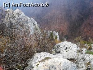 [P23] Stanca lui Sisi » foto by Mika
 - 
<span class="allrVoted glyphicon glyphicon-heart hidden" id="av1062196"></span>
<a class="m-l-10 hidden" id="sv1062196" onclick="voting_Foto_DelVot(,1062196,3645)" role="button">șterge vot <span class="glyphicon glyphicon-remove"></span></a>
<a id="v91062196" class=" c-red"  onclick="voting_Foto_SetVot(1062196)" role="button"><span class="glyphicon glyphicon-heart-empty"></span> <b>LIKE</b> = Votează poza</a> <img class="hidden"  id="f1062196W9" src="/imagini/loader.gif" border="0" /><span class="AjErrMes hidden" id="e1062196ErM"></span>