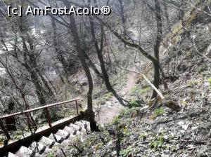 [P28] Ieșire din Grota Haiducilor » foto by Mika
 - 
<span class="allrVoted glyphicon glyphicon-heart hidden" id="av1062201"></span>
<a class="m-l-10 hidden" id="sv1062201" onclick="voting_Foto_DelVot(,1062201,3645)" role="button">șterge vot <span class="glyphicon glyphicon-remove"></span></a>
<a id="v91062201" class=" c-red"  onclick="voting_Foto_SetVot(1062201)" role="button"><span class="glyphicon glyphicon-heart-empty"></span> <b>LIKE</b> = Votează poza</a> <img class="hidden"  id="f1062201W9" src="/imagini/loader.gif" border="0" /><span class="AjErrMes hidden" id="e1062201ErM"></span>