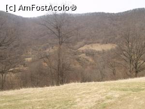 [P35] Pe Platoul Coronini » foto by Mika
 - 
<span class="allrVoted glyphicon glyphicon-heart hidden" id="av1062208"></span>
<a class="m-l-10 hidden" id="sv1062208" onclick="voting_Foto_DelVot(,1062208,3645)" role="button">șterge vot <span class="glyphicon glyphicon-remove"></span></a>
<a id="v91062208" class=" c-red"  onclick="voting_Foto_SetVot(1062208)" role="button"><span class="glyphicon glyphicon-heart-empty"></span> <b>LIKE</b> = Votează poza</a> <img class="hidden"  id="f1062208W9" src="/imagini/loader.gif" border="0" /><span class="AjErrMes hidden" id="e1062208ErM"></span>