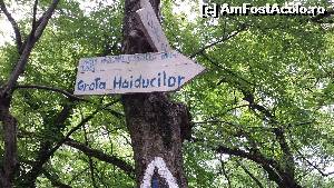 [P05] Spre grota haiducilor » foto by raly
 - 
<span class="allrVoted glyphicon glyphicon-heart hidden" id="av564823"></span>
<a class="m-l-10 hidden" id="sv564823" onclick="voting_Foto_DelVot(,564823,3645)" role="button">șterge vot <span class="glyphicon glyphicon-remove"></span></a>
<a id="v9564823" class=" c-red"  onclick="voting_Foto_SetVot(564823)" role="button"><span class="glyphicon glyphicon-heart-empty"></span> <b>LIKE</b> = Votează poza</a> <img class="hidden"  id="f564823W9" src="/imagini/loader.gif" border="0" /><span class="AjErrMes hidden" id="e564823ErM"></span>