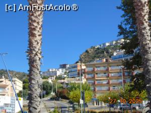 [P36] Rosas » foto by Yolanda
 - 
<span class="allrVoted glyphicon glyphicon-heart hidden" id="av1516003"></span>
<a class="m-l-10 hidden" id="sv1516003" onclick="voting_Foto_DelVot(,1516003,3651)" role="button">șterge vot <span class="glyphicon glyphicon-remove"></span></a>
<a id="v91516003" class=" c-red"  onclick="voting_Foto_SetVot(1516003)" role="button"><span class="glyphicon glyphicon-heart-empty"></span> <b>LIKE</b> = Votează poza</a> <img class="hidden"  id="f1516003W9" src="/imagini/loader.gif" border="0" /><span class="AjErrMes hidden" id="e1516003ErM"></span>