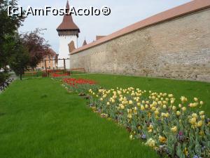 P03 [APR-2017] Mediaş-Micul parc lângă Bastionul Blănarilor