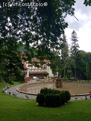 [P31] In Parcul Ghica » foto by AncaGO
 - 
<span class="allrVoted glyphicon glyphicon-heart hidden" id="av1006034"></span>
<a class="m-l-10 hidden" id="sv1006034" onclick="voting_Foto_DelVot(,1006034,3677)" role="button">șterge vot <span class="glyphicon glyphicon-remove"></span></a>
<a id="v91006034" class=" c-red"  onclick="voting_Foto_SetVot(1006034)" role="button"><span class="glyphicon glyphicon-heart-empty"></span> <b>LIKE</b> = Votează poza</a> <img class="hidden"  id="f1006034W9" src="/imagini/loader.gif" border="0" /><span class="AjErrMes hidden" id="e1006034ErM"></span>