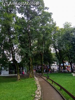 [P33] la iesirea din parc » foto by AncaGO
 - 
<span class="allrVoted glyphicon glyphicon-heart hidden" id="av1006036"></span>
<a class="m-l-10 hidden" id="sv1006036" onclick="voting_Foto_DelVot(,1006036,3677)" role="button">șterge vot <span class="glyphicon glyphicon-remove"></span></a>
<a id="v91006036" class=" c-red"  onclick="voting_Foto_SetVot(1006036)" role="button"><span class="glyphicon glyphicon-heart-empty"></span> <b>LIKE</b> = Votează poza</a> <img class="hidden"  id="f1006036W9" src="/imagini/loader.gif" border="0" /><span class="AjErrMes hidden" id="e1006036ErM"></span>