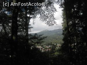 [P02] Una din rarele ferestre printre copaci pe unde poti vedea peisajul din vale.  » foto by senateo
 - 
<span class="allrVoted glyphicon glyphicon-heart hidden" id="av794639"></span>
<a class="m-l-10 hidden" id="sv794639" onclick="voting_Foto_DelVot(,794639,3677)" role="button">șterge vot <span class="glyphicon glyphicon-remove"></span></a>
<a id="v9794639" class=" c-red"  onclick="voting_Foto_SetVot(794639)" role="button"><span class="glyphicon glyphicon-heart-empty"></span> <b>LIKE</b> = Votează poza</a> <img class="hidden"  id="f794639W9" src="/imagini/loader.gif" border="0" /><span class="AjErrMes hidden" id="e794639ErM"></span>