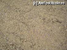 [P15] primavara anuntata de covorul mov-lila al stanjeneilor » foto by mecut
 - 
<span class="allrVoted glyphicon glyphicon-heart hidden" id="av193360"></span>
<a class="m-l-10 hidden" id="sv193360" onclick="voting_Foto_DelVot(,193360,3677)" role="button">șterge vot <span class="glyphicon glyphicon-remove"></span></a>
<a id="v9193360" class=" c-red"  onclick="voting_Foto_SetVot(193360)" role="button"><span class="glyphicon glyphicon-heart-empty"></span> <b>LIKE</b> = Votează poza</a> <img class="hidden"  id="f193360W9" src="/imagini/loader.gif" border="0" /><span class="AjErrMes hidden" id="e193360ErM"></span>