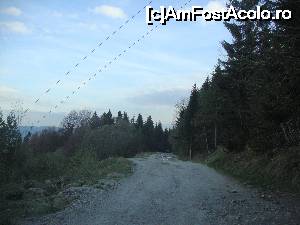 [P10] Aici este o porțiune dificilă de drum, pe care tocmai am reușit să o traversăm cu bine.  » foto by Floryn81
 - 
<span class="allrVoted glyphicon glyphicon-heart hidden" id="av647515"></span>
<a class="m-l-10 hidden" id="sv647515" onclick="voting_Foto_DelVot(,647515,3677)" role="button">șterge vot <span class="glyphicon glyphicon-remove"></span></a>
<a id="v9647515" class=" c-red"  onclick="voting_Foto_SetVot(647515)" role="button"><span class="glyphicon glyphicon-heart-empty"></span> <b>LIKE</b> = Votează poza</a> <img class="hidden"  id="f647515W9" src="/imagini/loader.gif" border="0" /><span class="AjErrMes hidden" id="e647515ErM"></span>