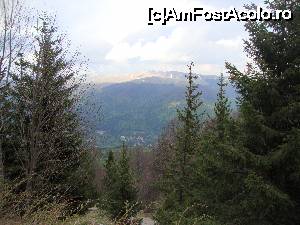[P11] Imediat ce am coborât din mașină la Cota 1400 am început să facem fotografii. Priveliștea este grozavă...  » foto by Floryn81
 - 
<span class="allrVoted glyphicon glyphicon-heart hidden" id="av647516"></span>
<a class="m-l-10 hidden" id="sv647516" onclick="voting_Foto_DelVot(,647516,3677)" role="button">șterge vot <span class="glyphicon glyphicon-remove"></span></a>
<a id="v9647516" class=" c-red"  onclick="voting_Foto_SetVot(647516)" role="button"><span class="glyphicon glyphicon-heart-empty"></span> <b>LIKE</b> = Votează poza</a> <img class="hidden"  id="f647516W9" src="/imagini/loader.gif" border="0" /><span class="AjErrMes hidden" id="e647516ErM"></span>