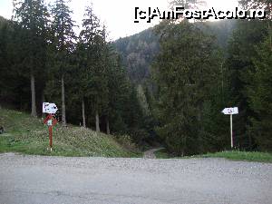 [P20] Am coborât câteva sute de metri de la Hotelul Cota 1400 și am văzut indicatorul spre Schitul Sfânta Ana. Să vizităm acest obiectiv!  » foto by Floryn81
 - 
<span class="allrVoted glyphicon glyphicon-heart hidden" id="av647525"></span>
<a class="m-l-10 hidden" id="sv647525" onclick="voting_Foto_DelVot(,647525,3677)" role="button">șterge vot <span class="glyphicon glyphicon-remove"></span></a>
<a id="v9647525" class=" c-red"  onclick="voting_Foto_SetVot(647525)" role="button"><span class="glyphicon glyphicon-heart-empty"></span> <b>LIKE</b> = Votează poza</a> <img class="hidden"  id="f647525W9" src="/imagini/loader.gif" border="0" /><span class="AjErrMes hidden" id="e647525ErM"></span>