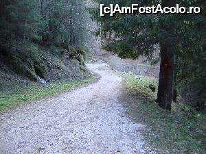 [P21] Drumul spre Schitul Sfânta Ana este îngust și permite accesul unei singure mașini. Fiind destul de scurt, noi l-am parcurs pe jos.  » foto by Floryn81
 - 
<span class="allrVoted glyphicon glyphicon-heart hidden" id="av647526"></span>
<a class="m-l-10 hidden" id="sv647526" onclick="voting_Foto_DelVot(,647526,3677)" role="button">șterge vot <span class="glyphicon glyphicon-remove"></span></a>
<a id="v9647526" class=" c-red"  onclick="voting_Foto_SetVot(647526)" role="button"><span class="glyphicon glyphicon-heart-empty"></span> <b>LIKE</b> = Votează poza</a> <img class="hidden"  id="f647526W9" src="/imagini/loader.gif" border="0" /><span class="AjErrMes hidden" id="e647526ErM"></span>