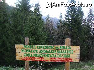 [P32] Ce vă tot spuneam?! Zonă frecventată de urși!  » foto by Floryn81
 - 
<span class="allrVoted glyphicon glyphicon-heart hidden" id="av647537"></span>
<a class="m-l-10 hidden" id="sv647537" onclick="voting_Foto_DelVot(,647537,3677)" role="button">șterge vot <span class="glyphicon glyphicon-remove"></span></a>
<a id="v9647537" class=" c-red"  onclick="voting_Foto_SetVot(647537)" role="button"><span class="glyphicon glyphicon-heart-empty"></span> <b>LIKE</b> = Votează poza</a> <img class="hidden"  id="f647537W9" src="/imagini/loader.gif" border="0" /><span class="AjErrMes hidden" id="e647537ErM"></span>