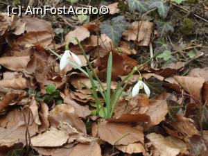 [P15] Vestitorii primăverii.  » foto by Floryn81
 - 
<span class="allrVoted glyphicon glyphicon-heart hidden" id="av970358"></span>
<a class="m-l-10 hidden" id="sv970358" onclick="voting_Foto_DelVot(,970358,3677)" role="button">șterge vot <span class="glyphicon glyphicon-remove"></span></a>
<a id="v9970358" class=" c-red"  onclick="voting_Foto_SetVot(970358)" role="button"><span class="glyphicon glyphicon-heart-empty"></span> <b>LIKE</b> = Votează poza</a> <img class="hidden"  id="f970358W9" src="/imagini/loader.gif" border="0" /><span class="AjErrMes hidden" id="e970358ErM"></span>