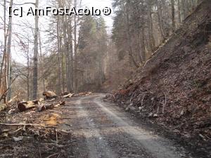 [P30] Tot mai sus pe drumul forestier din Valea Rea, Munții Baiului.  » foto by Floryn81
 - 
<span class="allrVoted glyphicon glyphicon-heart hidden" id="av970373"></span>
<a class="m-l-10 hidden" id="sv970373" onclick="voting_Foto_DelVot(,970373,3677)" role="button">șterge vot <span class="glyphicon glyphicon-remove"></span></a>
<a id="v9970373" class=" c-red"  onclick="voting_Foto_SetVot(970373)" role="button"><span class="glyphicon glyphicon-heart-empty"></span> <b>LIKE</b> = Votează poza</a> <img class="hidden"  id="f970373W9" src="/imagini/loader.gif" border="0" /><span class="AjErrMes hidden" id="e970373ErM"></span>
