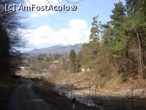 [P33] După vreo doi kilometri străbătuți agale pe drumul forestier din Valea Rea, am revenit în stațiune.  » foto by Floryn81
 - 
<span class="allrVoted glyphicon glyphicon-heart hidden" id="av970376"></span>
<a class="m-l-10 hidden" id="sv970376" onclick="voting_Foto_DelVot(,970376,3677)" role="button">șterge vot <span class="glyphicon glyphicon-remove"></span></a>
<a id="v9970376" class=" c-red"  onclick="voting_Foto_SetVot(970376)" role="button"><span class="glyphicon glyphicon-heart-empty"></span> <b>LIKE</b> = Votează poza</a> <img class="hidden"  id="f970376W9" src="/imagini/loader.gif" border="0" /><span class="AjErrMes hidden" id="e970376ErM"></span>