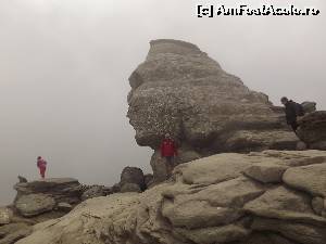 [P17] la Sfinxul din Bucegi » foto by robert
 - 
<span class="allrVoted glyphicon glyphicon-heart hidden" id="av649561"></span>
<a class="m-l-10 hidden" id="sv649561" onclick="voting_Foto_DelVot(,649561,3677)" role="button">șterge vot <span class="glyphicon glyphicon-remove"></span></a>
<a id="v9649561" class=" c-red"  onclick="voting_Foto_SetVot(649561)" role="button"><span class="glyphicon glyphicon-heart-empty"></span> <b>LIKE</b> = Votează poza</a> <img class="hidden"  id="f649561W9" src="/imagini/loader.gif" border="0" /><span class="AjErrMes hidden" id="e649561ErM"></span>