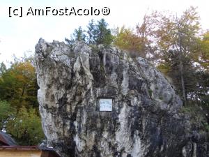 [P20] Un weekend la Sinaia. Stanca din spatele cabanei pe care este atasata o tablita cu regii Romaniei.  » foto by vega06
 - 
<span class="allrVoted glyphicon glyphicon-heart hidden" id="av724678"></span>
<a class="m-l-10 hidden" id="sv724678" onclick="voting_Foto_DelVot(,724678,3677)" role="button">șterge vot <span class="glyphicon glyphicon-remove"></span></a>
<a id="v9724678" class=" c-red"  onclick="voting_Foto_SetVot(724678)" role="button"><span class="glyphicon glyphicon-heart-empty"></span> <b>LIKE</b> = Votează poza</a> <img class="hidden"  id="f724678W9" src="/imagini/loader.gif" border="0" /><span class="AjErrMes hidden" id="e724678ErM"></span>
