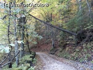 [P26] Un weekend la Sinaia. Asa cum va ziceam, drumul este minunat si salbatic :)  » foto by vega06
 - 
<span class="allrVoted glyphicon glyphicon-heart hidden" id="av724684"></span>
<a class="m-l-10 hidden" id="sv724684" onclick="voting_Foto_DelVot(,724684,3677)" role="button">șterge vot <span class="glyphicon glyphicon-remove"></span></a>
<a id="v9724684" class=" c-red"  onclick="voting_Foto_SetVot(724684)" role="button"><span class="glyphicon glyphicon-heart-empty"></span> <b>LIKE</b> = Votează poza</a> <img class="hidden"  id="f724684W9" src="/imagini/loader.gif" border="0" /><span class="AjErrMes hidden" id="e724684ErM"></span>
