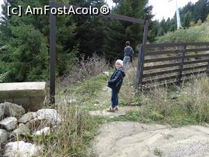 [P40] Un weekend la Sinaia. In spatele hotelului, mai colindam putin sa treaca timpul. » foto by vega06
 - 
<span class="allrVoted glyphicon glyphicon-heart hidden" id="av724723"></span>
<a class="m-l-10 hidden" id="sv724723" onclick="voting_Foto_DelVot(,724723,3677)" role="button">șterge vot <span class="glyphicon glyphicon-remove"></span></a>
<a id="v9724723" class=" c-red"  onclick="voting_Foto_SetVot(724723)" role="button"><span class="glyphicon glyphicon-heart-empty"></span> <b>LIKE</b> = Votează poza</a> <img class="hidden"  id="f724723W9" src="/imagini/loader.gif" border="0" /><span class="AjErrMes hidden" id="e724723ErM"></span>