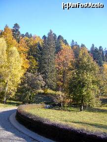 [P16] Sinaia, toamna..., drumul spre Castelul Peleş » foto by magdalena
 - 
<span class="allrVoted glyphicon glyphicon-heart hidden" id="av274444"></span>
<a class="m-l-10 hidden" id="sv274444" onclick="voting_Foto_DelVot(,274444,3677)" role="button">șterge vot <span class="glyphicon glyphicon-remove"></span></a>
<a id="v9274444" class=" c-red"  onclick="voting_Foto_SetVot(274444)" role="button"><span class="glyphicon glyphicon-heart-empty"></span> <b>LIKE</b> = Votează poza</a> <img class="hidden"  id="f274444W9" src="/imagini/loader.gif" border="0" /><span class="AjErrMes hidden" id="e274444ErM"></span>
