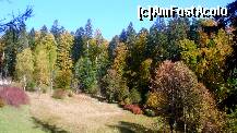 [P21] Sinaia, toamnă la Castelul Peleş... » foto by magdalena
 - 
<span class="allrVoted glyphicon glyphicon-heart hidden" id="av274461"></span>
<a class="m-l-10 hidden" id="sv274461" onclick="voting_Foto_DelVot(,274461,3677)" role="button">șterge vot <span class="glyphicon glyphicon-remove"></span></a>
<a id="v9274461" class=" c-red"  onclick="voting_Foto_SetVot(274461)" role="button"><span class="glyphicon glyphicon-heart-empty"></span> <b>LIKE</b> = Votează poza</a> <img class="hidden"  id="f274461W9" src="/imagini/loader.gif" border="0" /><span class="AjErrMes hidden" id="e274461ErM"></span>