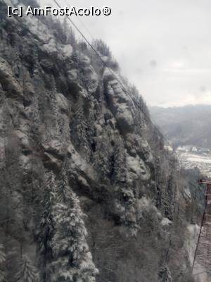 [P04]  -- <small>// FĂRĂ DESCRIERE</small> » foto by adryana
 - 
<span class="allrVoted glyphicon glyphicon-heart hidden" id="av953733"></span>
<a class="m-l-10 hidden" id="sv953733" onclick="voting_Foto_DelVot(,953733,3677)" role="button">șterge vot <span class="glyphicon glyphicon-remove"></span></a>
<a id="v9953733" class=" c-red"  onclick="voting_Foto_SetVot(953733)" role="button"><span class="glyphicon glyphicon-heart-empty"></span> <b>LIKE</b> = Votează poza</a> <img class="hidden"  id="f953733W9" src="/imagini/loader.gif" border="0" /><span class="AjErrMes hidden" id="e953733ErM"></span>