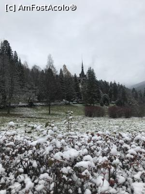[P50] Către castel » foto by krisstinna
 - 
<span class="allrVoted glyphicon glyphicon-heart hidden" id="av1212257"></span>
<a class="m-l-10 hidden" id="sv1212257" onclick="voting_Foto_DelVot(,1212257,3677)" role="button">șterge vot <span class="glyphicon glyphicon-remove"></span></a>
<a id="v91212257" class=" c-red"  onclick="voting_Foto_SetVot(1212257)" role="button"><span class="glyphicon glyphicon-heart-empty"></span> <b>LIKE</b> = Votează poza</a> <img class="hidden"  id="f1212257W9" src="/imagini/loader.gif" border="0" /><span class="AjErrMes hidden" id="e1212257ErM"></span>