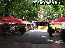 [P20] O CAFEA SAU O BERE IN PARC LA PRETURI ACCEPTABILE. » foto by Michi
 - 
<span class="allrVoted glyphicon glyphicon-heart hidden" id="av103027"></span>
<a class="m-l-10 hidden" id="sv103027" onclick="voting_Foto_DelVot(,103027,3677)" role="button">șterge vot <span class="glyphicon glyphicon-remove"></span></a>
<a id="v9103027" class=" c-red"  onclick="voting_Foto_SetVot(103027)" role="button"><span class="glyphicon glyphicon-heart-empty"></span> <b>LIKE</b> = Votează poza</a> <img class="hidden"  id="f103027W9" src="/imagini/loader.gif" border="0" /><span class="AjErrMes hidden" id="e103027ErM"></span>