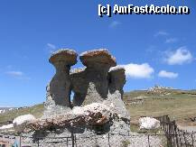 [P08] BABELE, create prin eroziune sau monumente megalitice? » foto by Michi
 - 
<span class="allrVoted glyphicon glyphicon-heart hidden" id="av102893"></span>
<a class="m-l-10 hidden" id="sv102893" onclick="voting_Foto_DelVot(,102893,3677)" role="button">șterge vot <span class="glyphicon glyphicon-remove"></span></a>
<a id="v9102893" class=" c-red"  onclick="voting_Foto_SetVot(102893)" role="button"><span class="glyphicon glyphicon-heart-empty"></span> <b>LIKE</b> = Votează poza</a> <img class="hidden"  id="f102893W9" src="/imagini/loader.gif" border="0" /><span class="AjErrMes hidden" id="e102893ErM"></span>