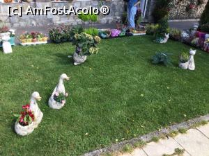 [P40] Predeal - o florarie draguta » foto by mishu
 - 
<span class="allrVoted glyphicon glyphicon-heart hidden" id="av1324384"></span>
<a class="m-l-10 hidden" id="sv1324384" onclick="voting_Foto_DelVot(,1324384,3678)" role="button">șterge vot <span class="glyphicon glyphicon-remove"></span></a>
<a id="v91324384" class=" c-red"  onclick="voting_Foto_SetVot(1324384)" role="button"><span class="glyphicon glyphicon-heart-empty"></span> <b>LIKE</b> = Votează poza</a> <img class="hidden"  id="f1324384W9" src="/imagini/loader.gif" border="0" /><span class="AjErrMes hidden" id="e1324384ErM"></span>