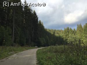 [P47] Predeal - promenada Polistoaca » foto by mishu
 - 
<span class="allrVoted glyphicon glyphicon-heart hidden" id="av1324391"></span>
<a class="m-l-10 hidden" id="sv1324391" onclick="voting_Foto_DelVot(,1324391,3678)" role="button">șterge vot <span class="glyphicon glyphicon-remove"></span></a>
<a id="v91324391" class=" c-red"  onclick="voting_Foto_SetVot(1324391)" role="button"><span class="glyphicon glyphicon-heart-empty"></span> <b>LIKE</b> = Votează poza</a> <img class="hidden"  id="f1324391W9" src="/imagini/loader.gif" border="0" /><span class="AjErrMes hidden" id="e1324391ErM"></span>