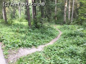 [P50] Predeal - promenada Polistoaca » foto by mishu
 - 
<span class="allrVoted glyphicon glyphicon-heart hidden" id="av1324394"></span>
<a class="m-l-10 hidden" id="sv1324394" onclick="voting_Foto_DelVot(,1324394,3678)" role="button">șterge vot <span class="glyphicon glyphicon-remove"></span></a>
<a id="v91324394" class=" c-red"  onclick="voting_Foto_SetVot(1324394)" role="button"><span class="glyphicon glyphicon-heart-empty"></span> <b>LIKE</b> = Votează poza</a> <img class="hidden"  id="f1324394W9" src="/imagini/loader.gif" border="0" /><span class="AjErrMes hidden" id="e1324394ErM"></span>