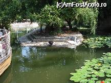 [P06] Lacul din spatele strandului cu lebede rate si broaste testoase » foto by ionescunic
 - 
<span class="allrVoted glyphicon glyphicon-heart hidden" id="av29748"></span>
<a class="m-l-10 hidden" id="sv29748" onclick="voting_Foto_DelVot(,29748,3696)" role="button">șterge vot <span class="glyphicon glyphicon-remove"></span></a>
<a id="v929748" class=" c-red"  onclick="voting_Foto_SetVot(29748)" role="button"><span class="glyphicon glyphicon-heart-empty"></span> <b>LIKE</b> = Votează poza</a> <img class="hidden"  id="f29748W9" src="/imagini/loader.gif" border="0" /><span class="AjErrMes hidden" id="e29748ErM"></span>