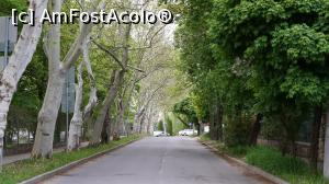 [P11] Parcul statiunii » foto by scoty
 - 
<span class="allrVoted glyphicon glyphicon-heart hidden" id="av1152947"></span>
<a class="m-l-10 hidden" id="sv1152947" onclick="voting_Foto_DelVot(,1152947,3696)" role="button">șterge vot <span class="glyphicon glyphicon-remove"></span></a>
<a id="v91152947" class=" c-red"  onclick="voting_Foto_SetVot(1152947)" role="button"><span class="glyphicon glyphicon-heart-empty"></span> <b>LIKE</b> = Votează poza</a> <img class="hidden"  id="f1152947W9" src="/imagini/loader.gif" border="0" /><span class="AjErrMes hidden" id="e1152947ErM"></span>