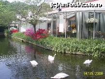 [P10] Olanda - Parcul Keukenhof » foto by popescu.borsa*
 - 
<span class="allrVoted glyphicon glyphicon-heart hidden" id="av191129"></span>
<a class="m-l-10 hidden" id="sv191129" onclick="voting_Foto_DelVot(,191129,3710)" role="button">șterge vot <span class="glyphicon glyphicon-remove"></span></a>
<a id="v9191129" class=" c-red"  onclick="voting_Foto_SetVot(191129)" role="button"><span class="glyphicon glyphicon-heart-empty"></span> <b>LIKE</b> = Votează poza</a> <img class="hidden"  id="f191129W9" src="/imagini/loader.gif" border="0" /><span class="AjErrMes hidden" id="e191129ErM"></span>