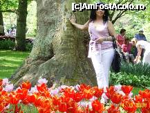 [P15] Olanda - Parcul Keukenhof » foto by popescu.borsa*
 - 
<span class="allrVoted glyphicon glyphicon-heart hidden" id="av191134"></span>
<a class="m-l-10 hidden" id="sv191134" onclick="voting_Foto_DelVot(,191134,3710)" role="button">șterge vot <span class="glyphicon glyphicon-remove"></span></a>
<a id="v9191134" class=" c-red"  onclick="voting_Foto_SetVot(191134)" role="button"><span class="glyphicon glyphicon-heart-empty"></span> <b>LIKE</b> = Votează poza</a> <img class="hidden"  id="f191134W9" src="/imagini/loader.gif" border="0" /><span class="AjErrMes hidden" id="e191134ErM"></span>