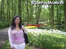 [P03] Olanda - Parcul Keukenhof » foto by popescu.borsa*
 - 
<span class="allrVoted glyphicon glyphicon-heart hidden" id="av191122"></span>
<a class="m-l-10 hidden" id="sv191122" onclick="voting_Foto_DelVot(,191122,3710)" role="button">șterge vot <span class="glyphicon glyphicon-remove"></span></a>
<a id="v9191122" class=" c-red"  onclick="voting_Foto_SetVot(191122)" role="button"><span class="glyphicon glyphicon-heart-empty"></span> <b>LIKE</b> = Votează poza</a> <img class="hidden"  id="f191122W9" src="/imagini/loader.gif" border="0" /><span class="AjErrMes hidden" id="e191122ErM"></span>