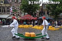 [P19] Alkmaar - Piata de branza » foto by mh_iulia
 - 
<span class="allrVoted glyphicon glyphicon-heart hidden" id="av241275"></span>
<a class="m-l-10 hidden" id="sv241275" onclick="voting_Foto_DelVot(,241275,3710)" role="button">șterge vot <span class="glyphicon glyphicon-remove"></span></a>
<a id="v9241275" class=" c-red"  onclick="voting_Foto_SetVot(241275)" role="button"><span class="glyphicon glyphicon-heart-empty"></span> <b>LIKE</b> = Votează poza</a> <img class="hidden"  id="f241275W9" src="/imagini/loader.gif" border="0" /><span class="AjErrMes hidden" id="e241275ErM"></span>