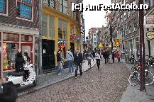 [P02] la pas prin cartierul rosu - Amsterdam » foto by mh_iulia
 - 
<span class="allrVoted glyphicon glyphicon-heart hidden" id="av241258"></span>
<a class="m-l-10 hidden" id="sv241258" onclick="voting_Foto_DelVot(,241258,3710)" role="button">șterge vot <span class="glyphicon glyphicon-remove"></span></a>
<a id="v9241258" class=" c-red"  onclick="voting_Foto_SetVot(241258)" role="button"><span class="glyphicon glyphicon-heart-empty"></span> <b>LIKE</b> = Votează poza</a> <img class="hidden"  id="f241258W9" src="/imagini/loader.gif" border="0" /><span class="AjErrMes hidden" id="e241258ErM"></span>