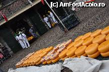 [P20] Alkmaar - Cheese market » foto by mh_iulia
 - 
<span class="allrVoted glyphicon glyphicon-heart hidden" id="av241276"></span>
<a class="m-l-10 hidden" id="sv241276" onclick="voting_Foto_DelVot(,241276,3710)" role="button">șterge vot <span class="glyphicon glyphicon-remove"></span></a>
<a id="v9241276" class=" c-red"  onclick="voting_Foto_SetVot(241276)" role="button"><span class="glyphicon glyphicon-heart-empty"></span> <b>LIKE</b> = Votează poza</a> <img class="hidden"  id="f241276W9" src="/imagini/loader.gif" border="0" /><span class="AjErrMes hidden" id="e241276ErM"></span>