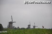 [P33] Kinderdijk - Olanda , langa Rotterdam » foto by mh_iulia
 - 
<span class="allrVoted glyphicon glyphicon-heart hidden" id="av241289"></span>
<a class="m-l-10 hidden" id="sv241289" onclick="voting_Foto_DelVot(,241289,3710)" role="button">șterge vot <span class="glyphicon glyphicon-remove"></span></a>
<a id="v9241289" class=" c-red"  onclick="voting_Foto_SetVot(241289)" role="button"><span class="glyphicon glyphicon-heart-empty"></span> <b>LIKE</b> = Votează poza</a> <img class="hidden"  id="f241289W9" src="/imagini/loader.gif" border="0" /><span class="AjErrMes hidden" id="e241289ErM"></span>