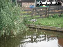 [P13] pana si aceste pasari iubesc sa traiasca aici » foto by a.sr*
 - 
<span class="allrVoted glyphicon glyphicon-heart hidden" id="av271700"></span>
<a class="m-l-10 hidden" id="sv271700" onclick="voting_Foto_DelVot(,271700,3710)" role="button">șterge vot <span class="glyphicon glyphicon-remove"></span></a>
<a id="v9271700" class=" c-red"  onclick="voting_Foto_SetVot(271700)" role="button"><span class="glyphicon glyphicon-heart-empty"></span> <b>LIKE</b> = Votează poza</a> <img class="hidden"  id="f271700W9" src="/imagini/loader.gif" border="0" /><span class="AjErrMes hidden" id="e271700ErM"></span>