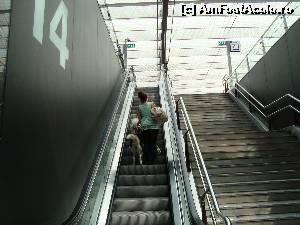 [P14] Gara in Rotterdam... urc pe scari sa ajung la peronul 14... in urma cainelui » foto by mireille
 - 
<span class="allrVoted glyphicon glyphicon-heart hidden" id="av539822"></span>
<a class="m-l-10 hidden" id="sv539822" onclick="voting_Foto_DelVot(,539822,3710)" role="button">șterge vot <span class="glyphicon glyphicon-remove"></span></a>
<a id="v9539822" class=" c-red"  onclick="voting_Foto_SetVot(539822)" role="button"><span class="glyphicon glyphicon-heart-empty"></span> <b>LIKE</b> = Votează poza</a> <img class="hidden"  id="f539822W9" src="/imagini/loader.gif" border="0" /><span class="AjErrMes hidden" id="e539822ErM"></span>