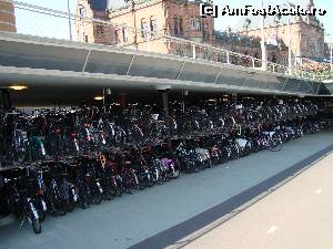 [P17] o parcare cu biciclete, la iesirea din gara Groningen, despre ele alta data » foto by mireille
 - 
<span class="allrVoted glyphicon glyphicon-heart hidden" id="av539825"></span>
<a class="m-l-10 hidden" id="sv539825" onclick="voting_Foto_DelVot(,539825,3710)" role="button">șterge vot <span class="glyphicon glyphicon-remove"></span></a>
<a id="v9539825" class=" c-red"  onclick="voting_Foto_SetVot(539825)" role="button"><span class="glyphicon glyphicon-heart-empty"></span> <b>LIKE</b> = Votează poza</a> <img class="hidden"  id="f539825W9" src="/imagini/loader.gif" border="0" /><span class="AjErrMes hidden" id="e539825ErM"></span>